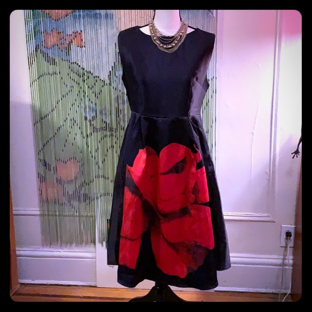 Fashionmia Beautiful cocktails dress never worn